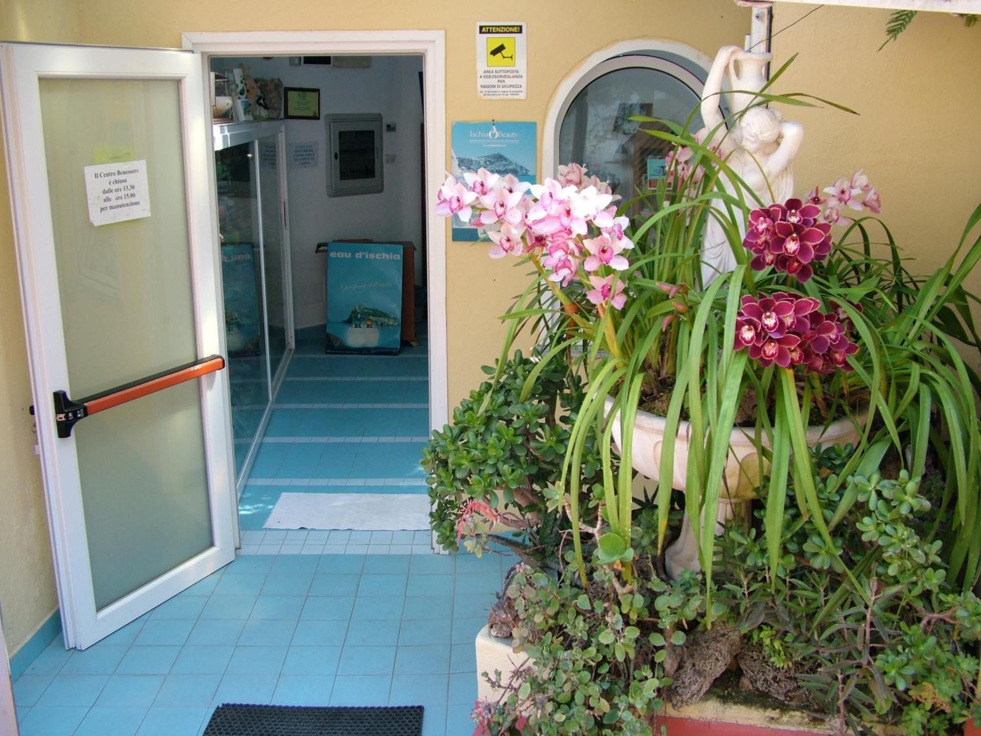Hotel Giardino Delle Ninfe E La Fenice Ischia Buitenkant foto
